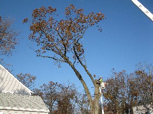 Click to view picture details [20023]