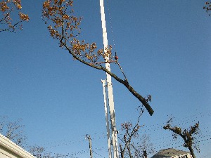 Click to view picture details [20024]