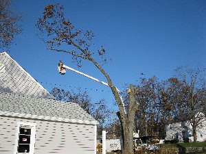 Click to view picture details [20025]