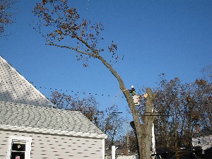 Click to view picture details [20026]