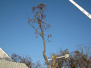 Click to view picture details [20027]