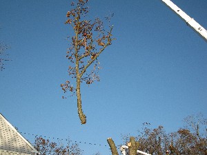 Click to view picture details [20028]