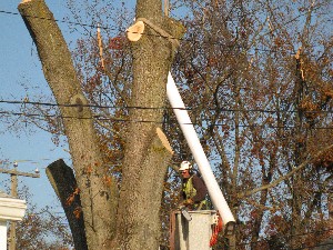 Click to view picture details [20030]