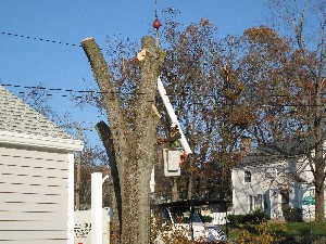 Click to view picture details [20031]