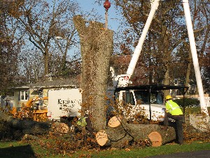 Click to view picture details [20034]