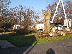 Click to view picture details [20035]