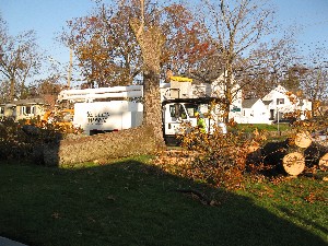 Click to view picture details [20036]