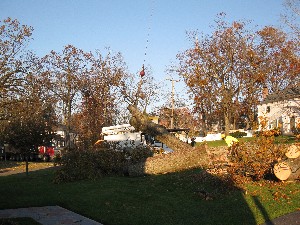 Click to view picture details [20037]