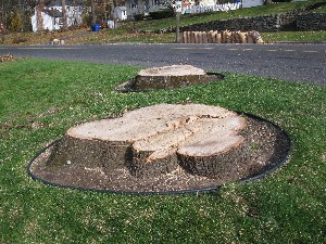 Click to view picture details [20042]