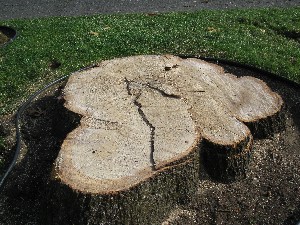 Click to view picture details [20044]