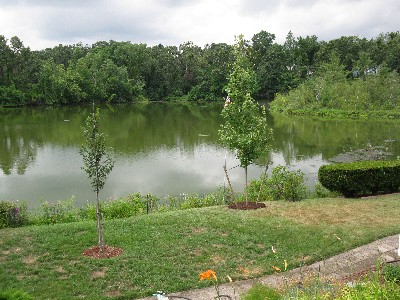 Click to view picture details [21255]