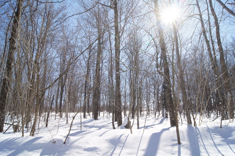 Click to view picture details [21649]