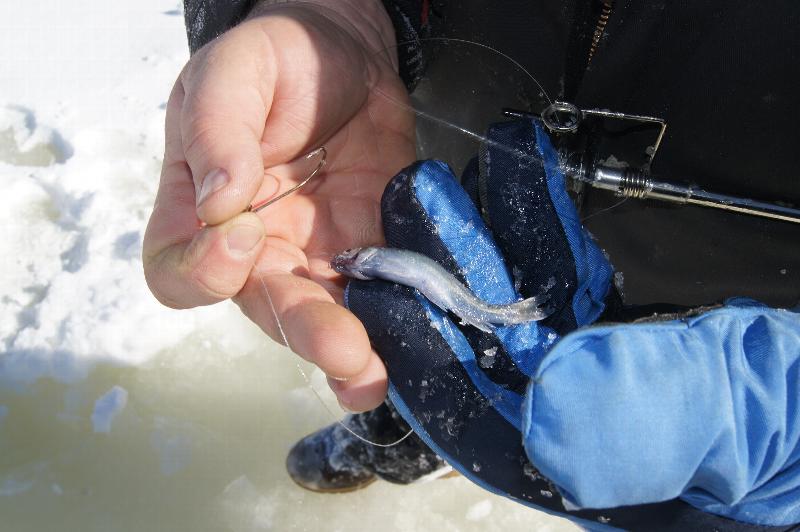 Click to view picture details [21650]