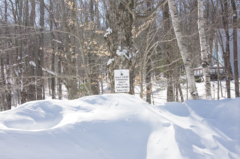 Click to view picture details [21652]