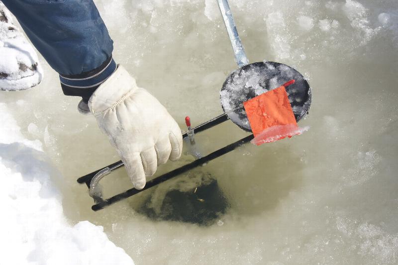 Click to view picture details [21666]