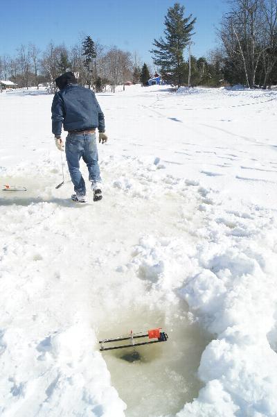 Click to view picture details [21667]