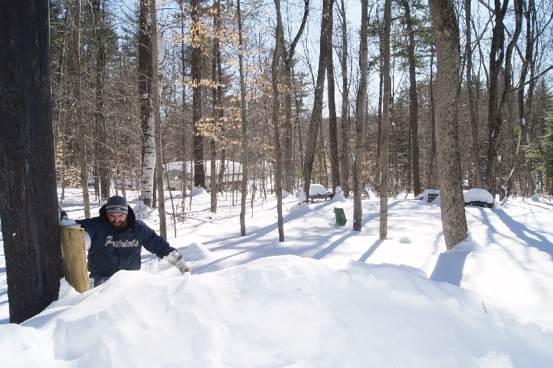 Click to view picture details [21683]