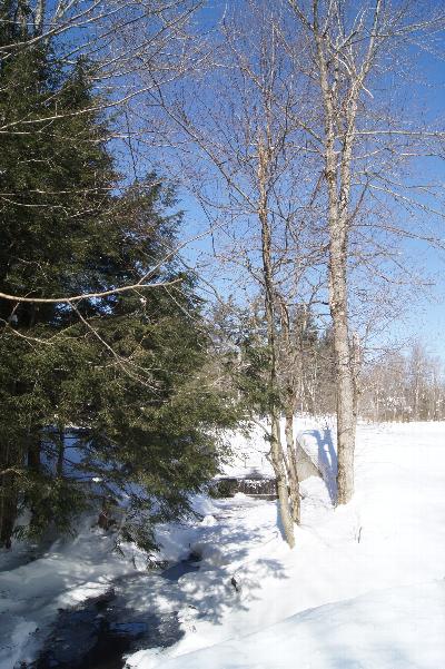 Click to view picture details [21687]