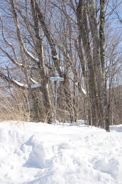 Click to view picture details [21698]