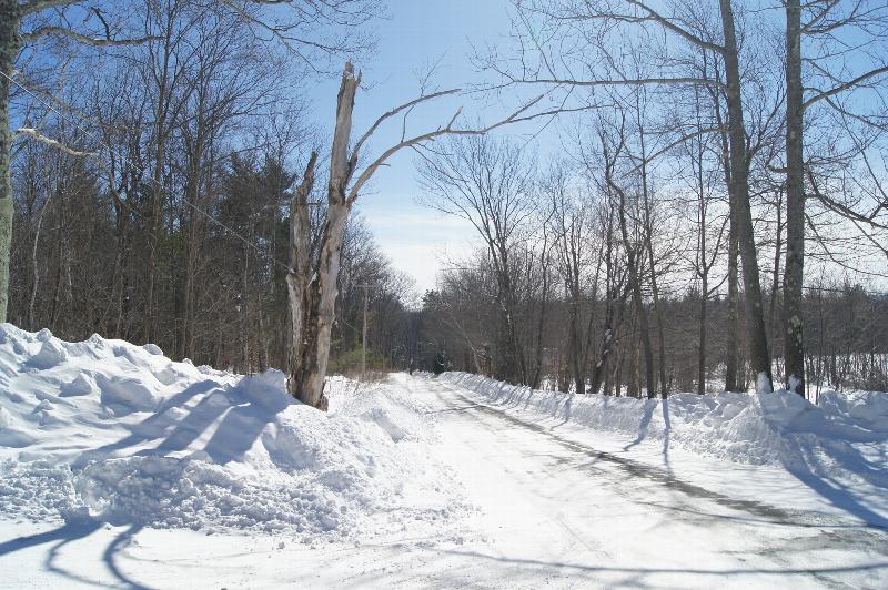 Click to view picture details [21699]