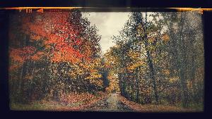 Click to view picture details [21801]