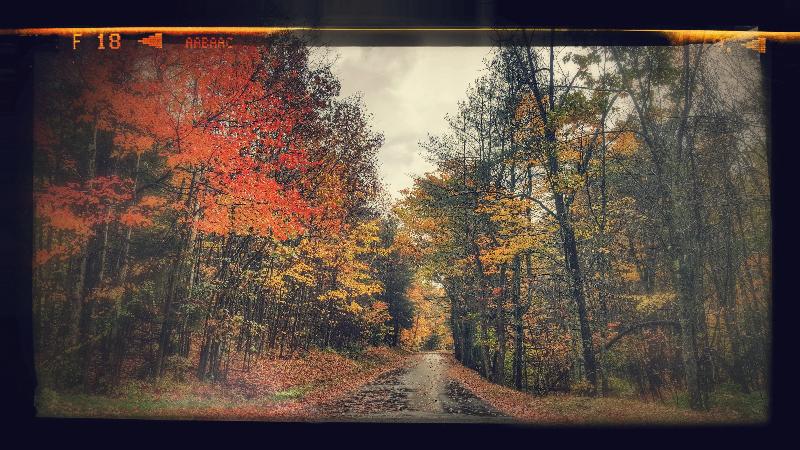 Click to view picture details [21801]