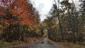 Click to view picture details [21839]