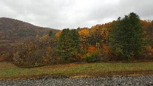 Click to view picture details [21853]