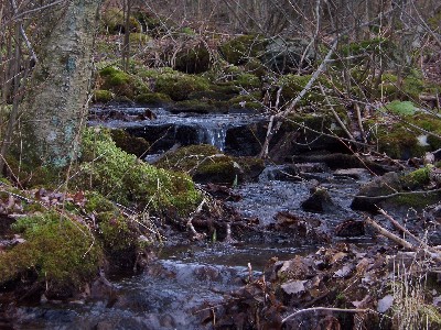 Click to view picture details [22]