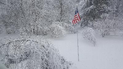 Click to view picture details [22024]
