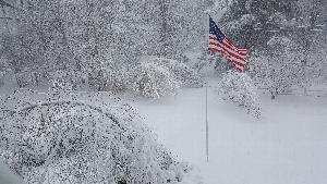 Click to view picture details [22029]