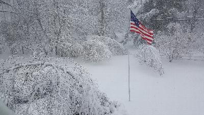 Click to view picture details [22029]