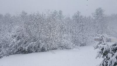Click to view picture details [22041]