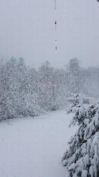Click to view picture details [22042]