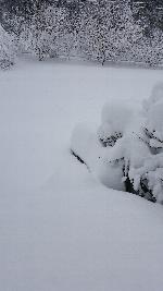 Click to view picture details [22045]