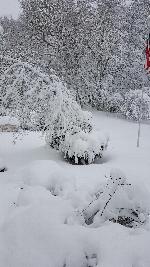 Click to view picture details [22046]