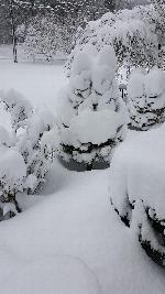 Click to view picture details [22050]