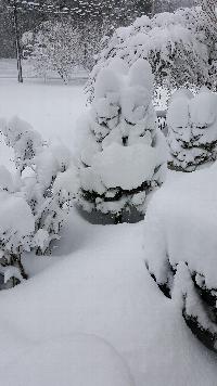 Click to view picture details [22050]
