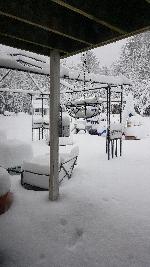 Click to view picture details [22052]