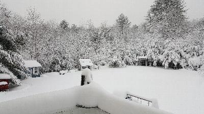 Click to view picture details [22055]