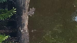 Click to view picture details [22143]