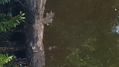 Click to view picture details [22143]