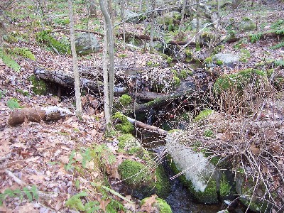 Click to view picture details [23]