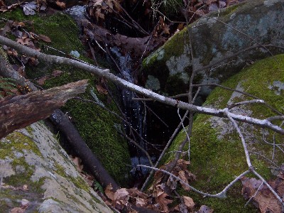 Click to view picture details [27]