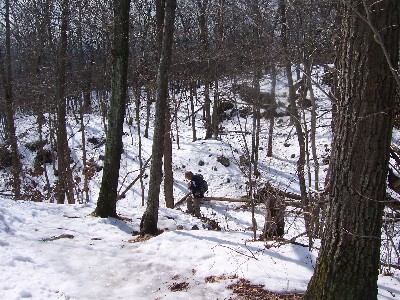 Click to view picture details [2901]