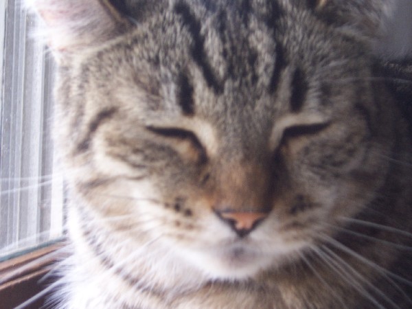 Click to view picture details [3169]