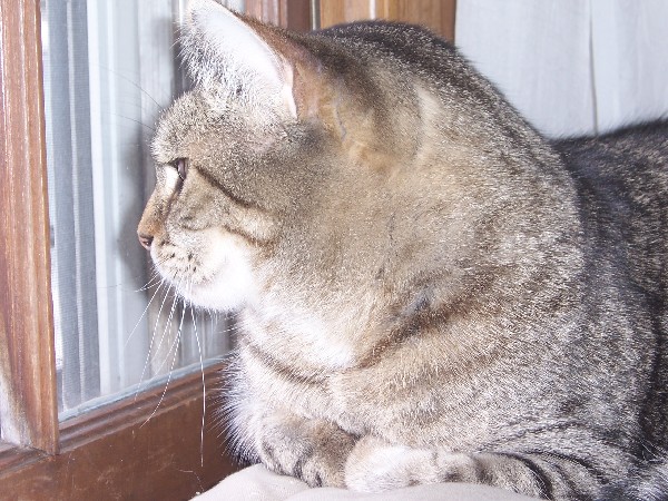 Click to view picture details [3170]