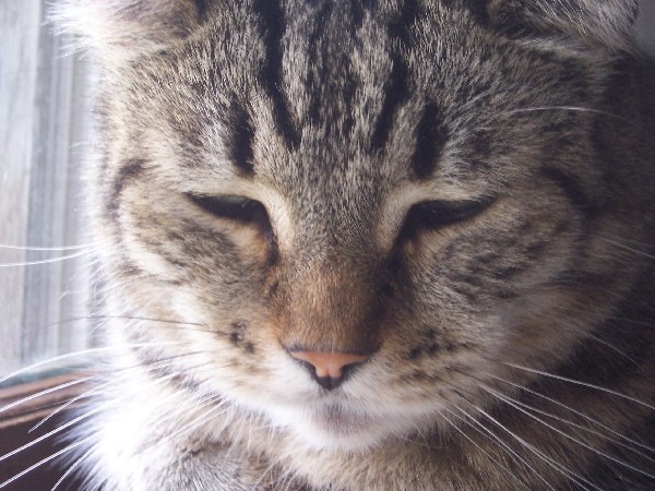 Click to view picture details [3172]