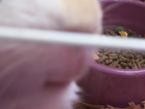 Click to view picture details [3173]