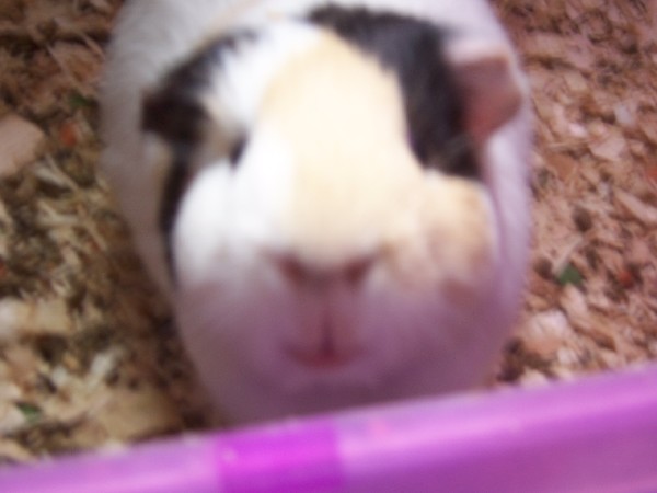 Click to view picture details [3176]